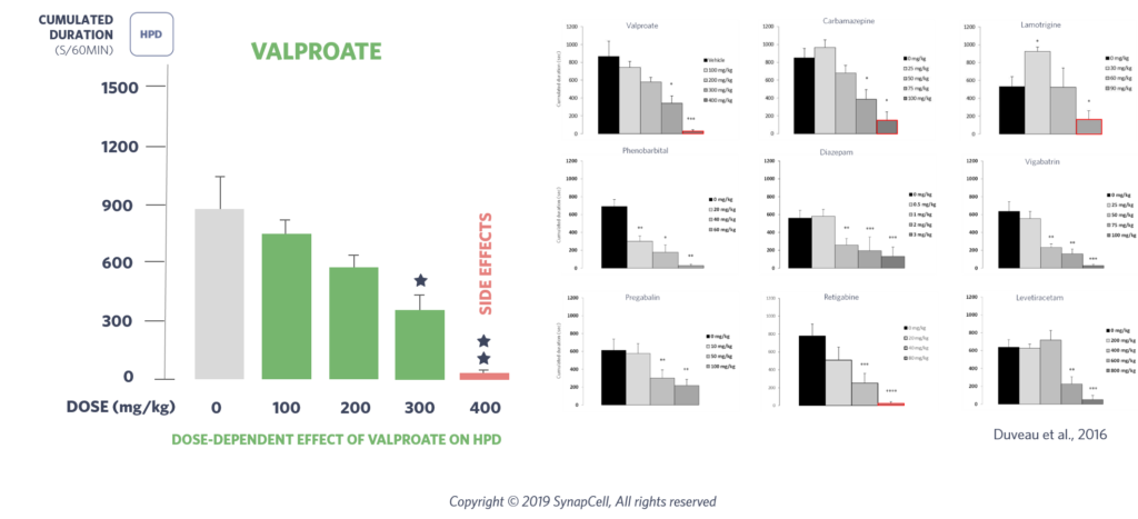 HPD-MTLE-Pharmacology-synapcell