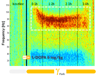 GAMMA-OHDA