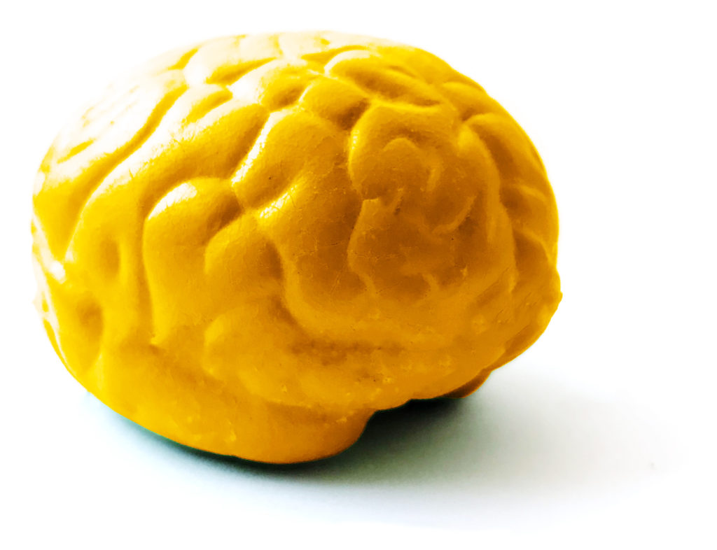 brain-synapcell